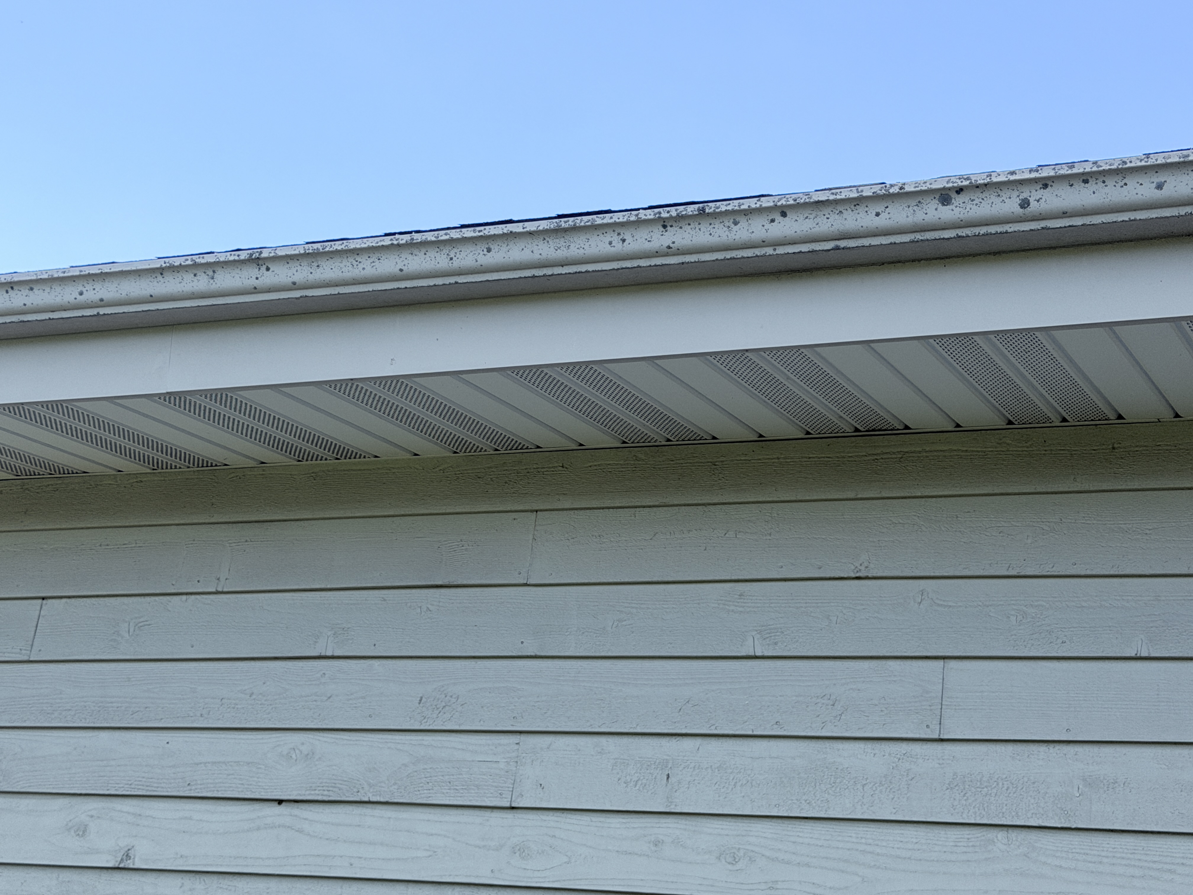 Before house washing in Bristol, WI by Code 3 Cleaning — pair 12 of 13, project #1740