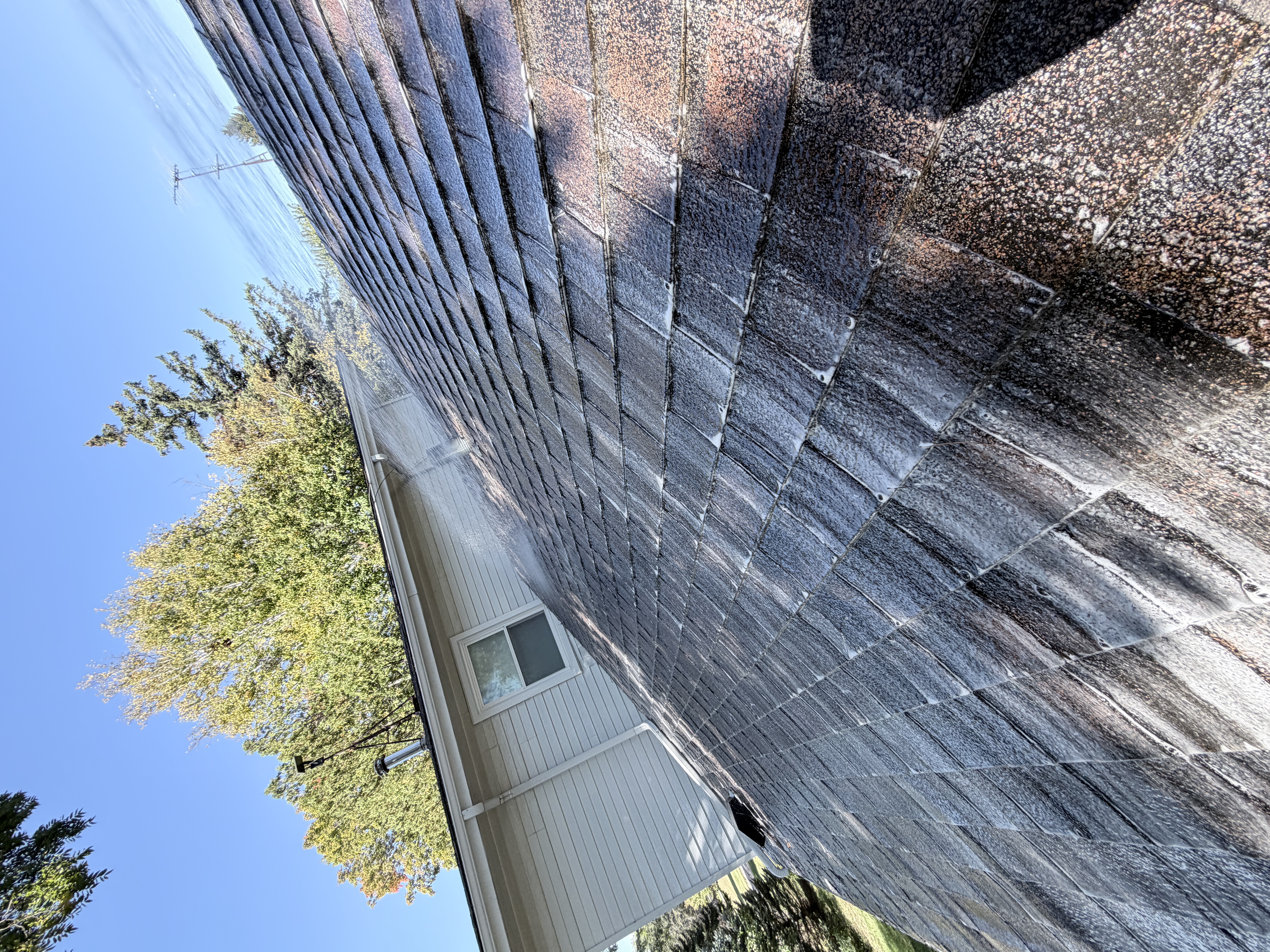 After roof washing in Zion, IL by Code 3 Cleaning — pair 2 of 10, project #1842