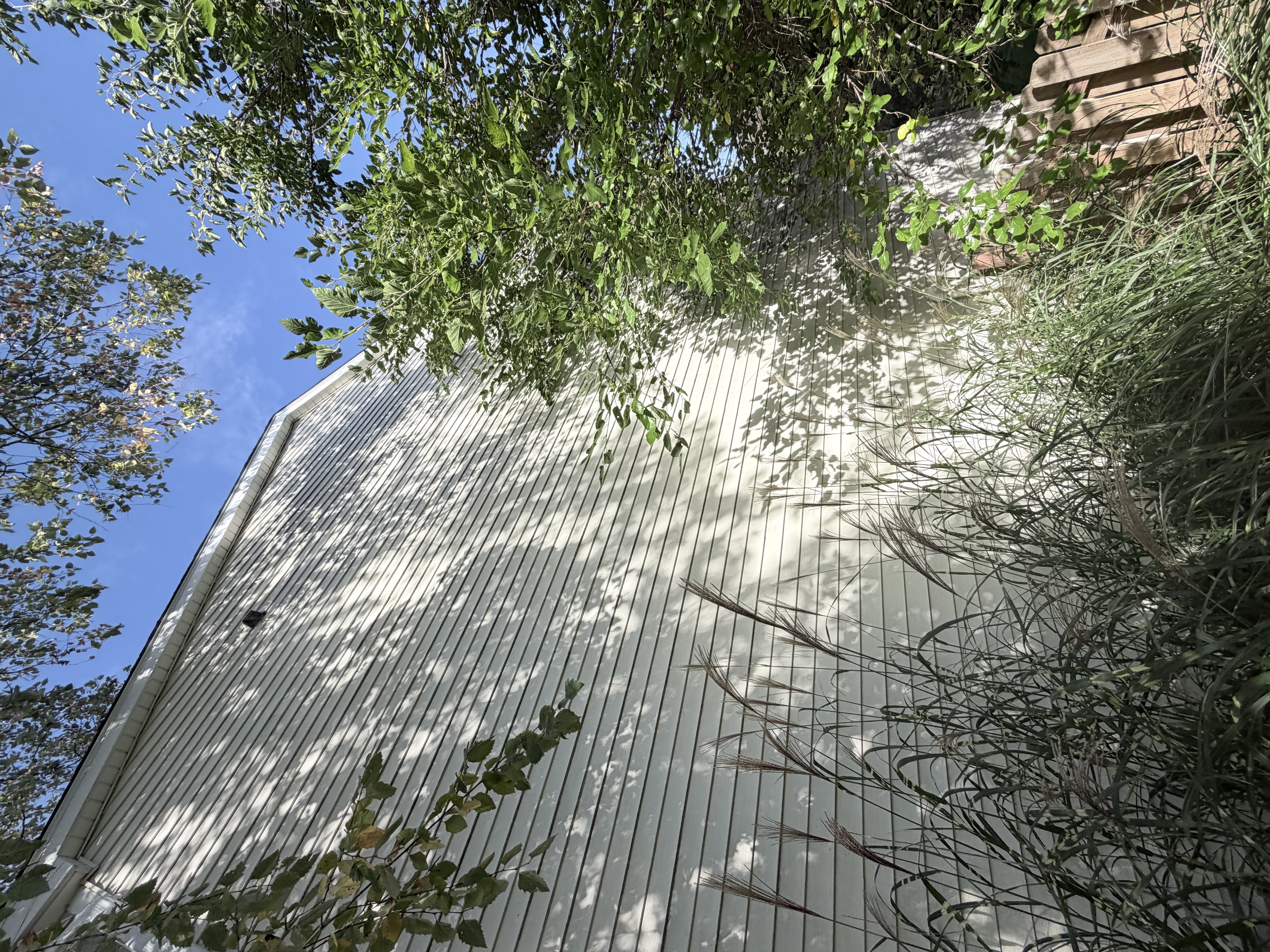 Before house washing in Lindenhurst, IL by Code 3 Cleaning — pair 5 of 5, project #1921