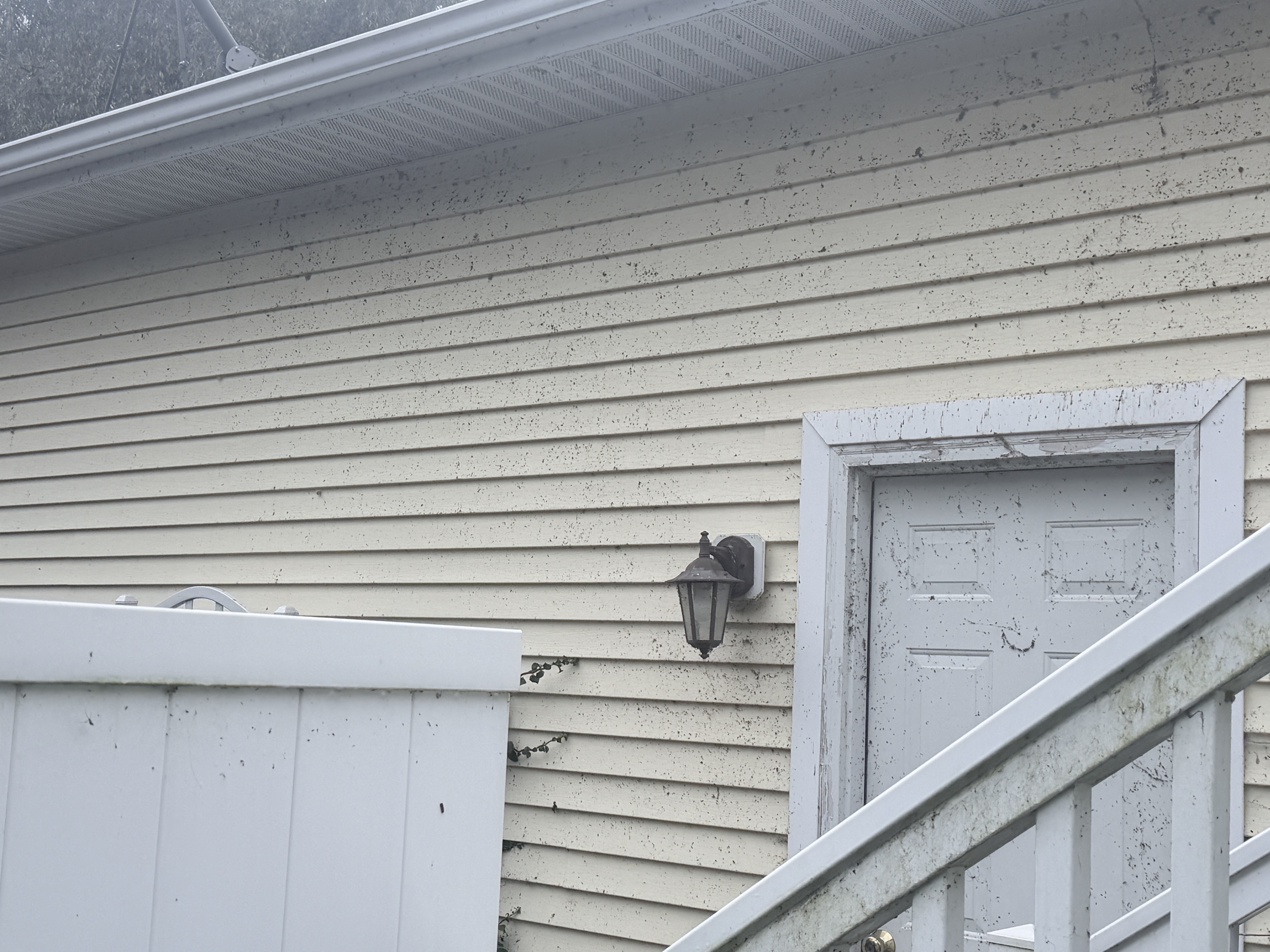 Before house washing and fence cleaning in Pleasant Prairie, WI by Code 3 Cleaning — pair 10 of 10, project #1936