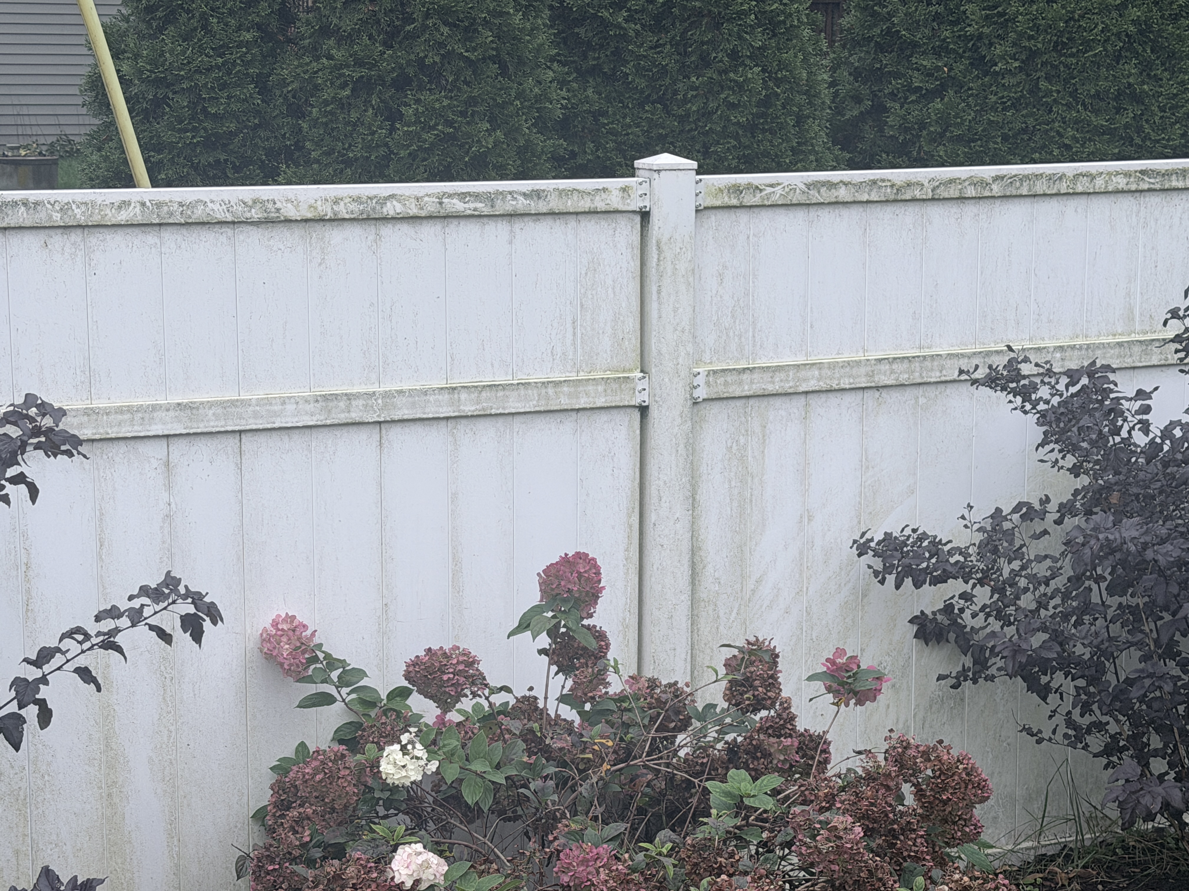 Before house washing and fence cleaning in Pleasant Prairie, WI by Code 3 Cleaning — pair 7 of 10, project #1936