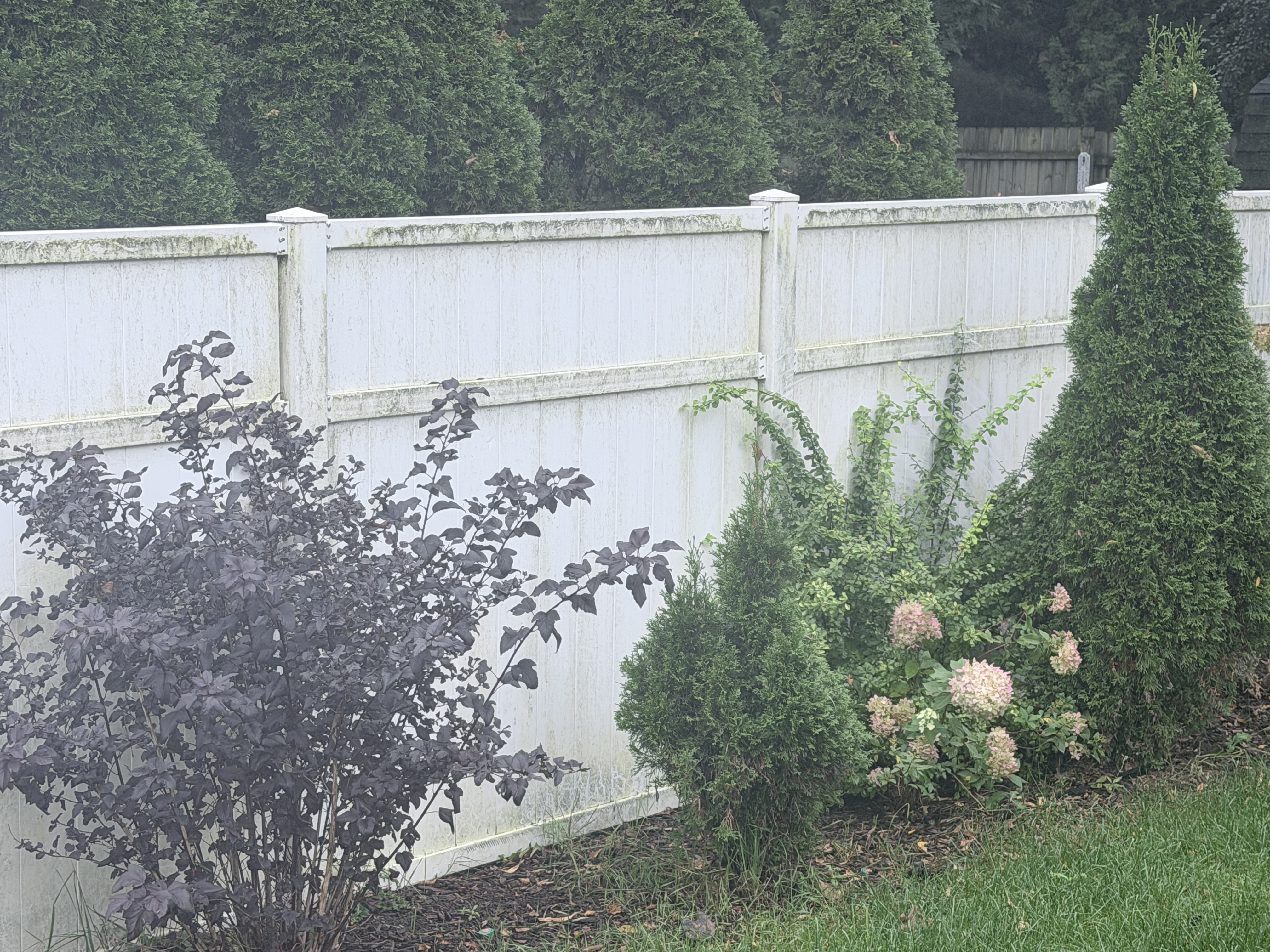 Before house washing and fence cleaning in Pleasant Prairie, WI by Code 3 Cleaning — pair 8 of 10, project #1936